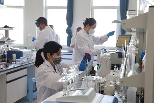 省生態(tài)環(huán)境監(jiān)測(cè)專業(yè)技術(shù)人員大比武成功舉行，央廣網(wǎng)提供網(wǎng)絡(luò)技術(shù)支持服務(wù)